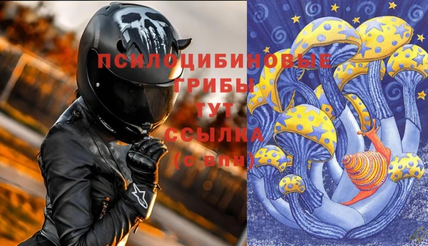 гашик Волосово