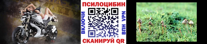 Галлюциногенные грибы прущие грибы  купить   blacksprut сайт  Ленинск 